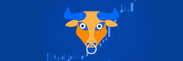 The Bear and the Bull