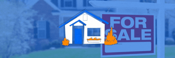 Real Estate